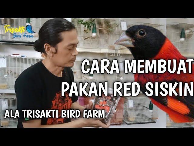 Gacor BNI: Tips Agar Burung Anda Selalu Bersemangat