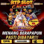 Bandar Slot Online Terpercaya dan Terbaik – Tempat Bermain Slot Terlengkap