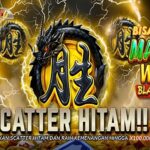 Raih Kesempatan Menang Besar Dengan Slot XL Terbaik
