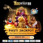 Bandar Bonanza OVO: Tempat Terbaik untuk Bermain dan Menang